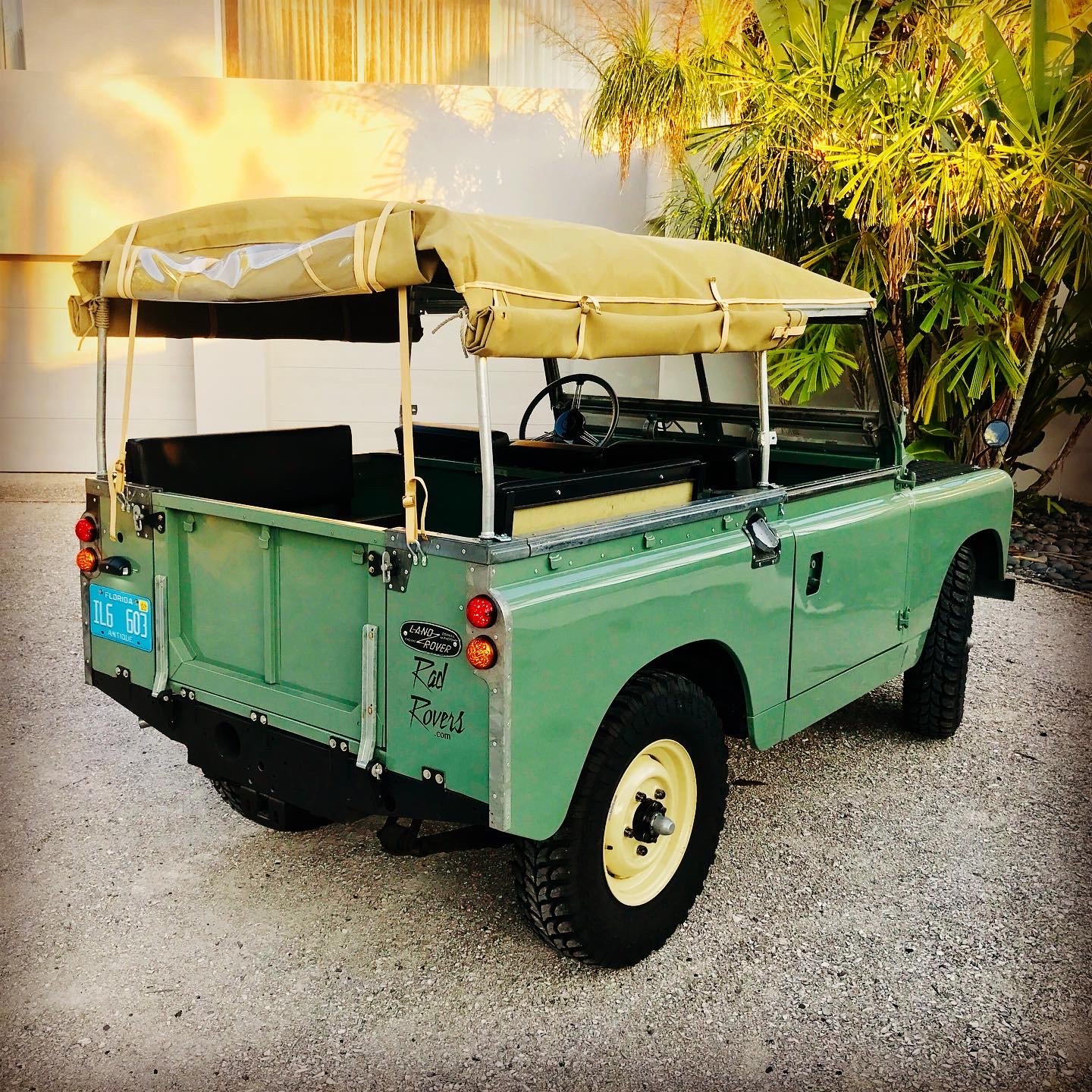 Jade — rear